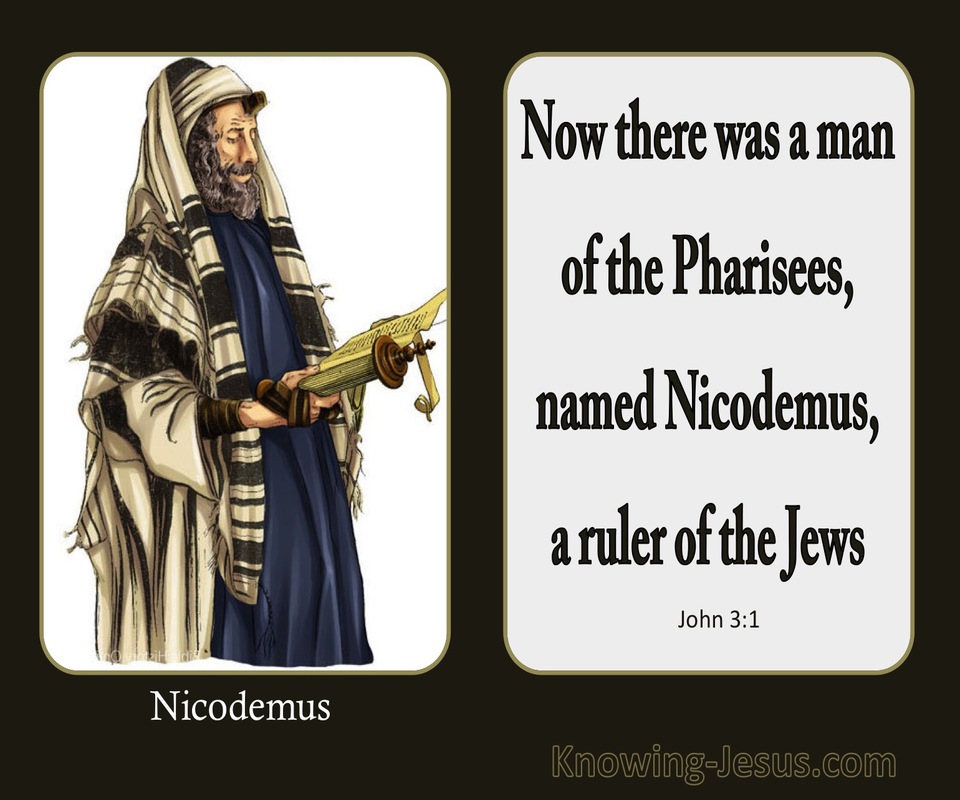 John 3:1 Now There Was A Man Named Nicodemus (brown)